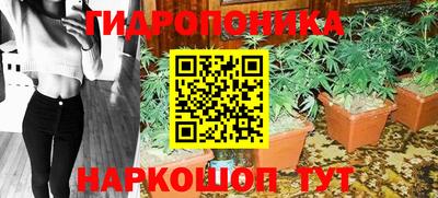 кокс Можга