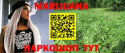гидра Можайск