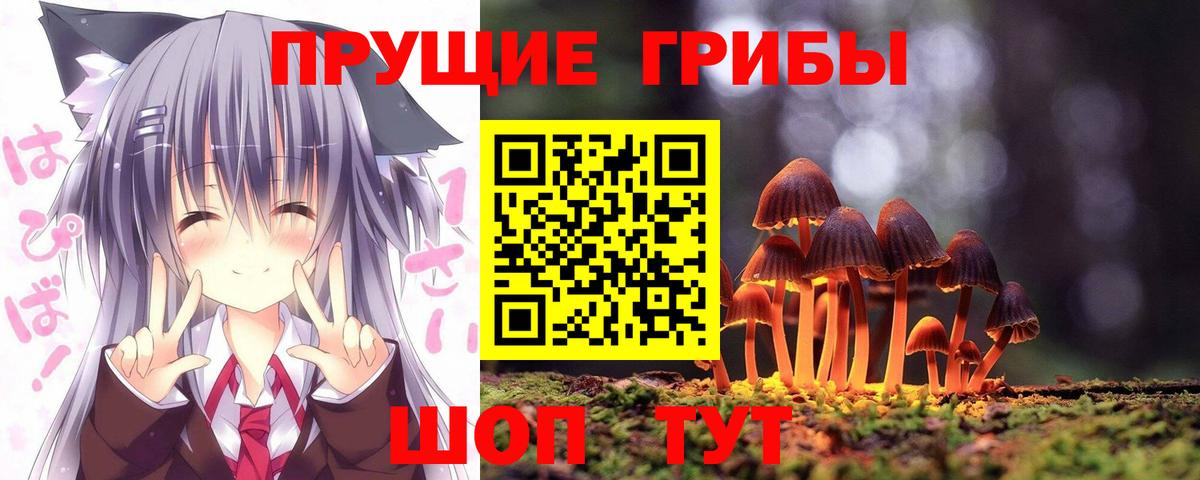 Псилоцибиновые грибы ЛСД  Вход с VPN  Ульяновск  Псилоцибиновые грибы Psilocybine cubensis 