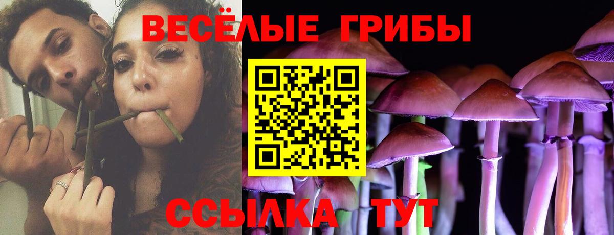 Галлюциногенные грибы MAGIC MUSHROOMS Ульяновск